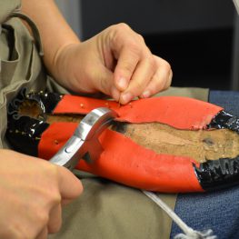 Practical Shoemaking