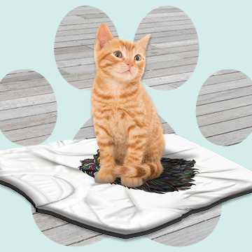 Upcycle Tee Mat Workshop for Your Furry Friends
