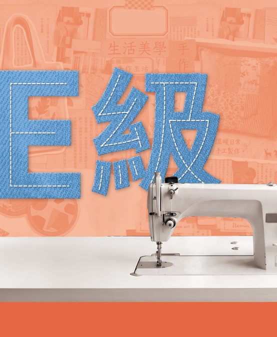 Level E- Sewing Course (Entry level)
